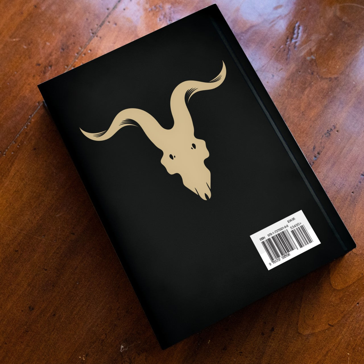 The Setup, Spanish - Hardcover